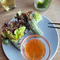 Vegan spring rolls at Monsoon Cafe - Aqua City Odaiba in Tokyo