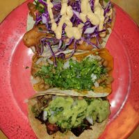 From the top #Veganuary at La Taqueria Vegiee in Tijuana