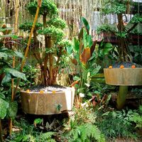 Some of the green space Inside at Clear Cafe in Ubud