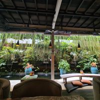  at Clear Cafe in Ubud