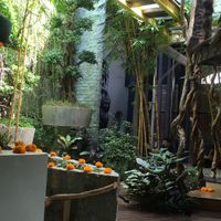 Beautiful setting at Clear Cafe in Ubud