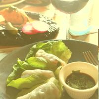 Spring rolls at TIME Vegetarian Kitchen in Santo Domingo