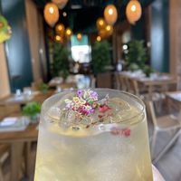 Sake Sangria at TIME Vegetarian Kitchen in Santo Domingo