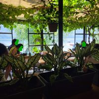  at The Juicery Cafe in Pokhara