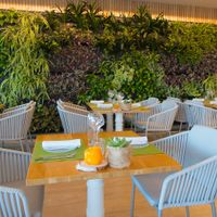 Abbaco at Abbaco in Mallorca