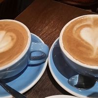 Soy and Oat Lattes  at 200 Degrees Coffee in Cardiff
