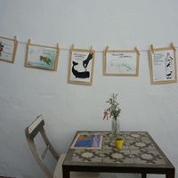 in thr courtyard at Tarifa EcoCenter in Tarifa