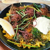 Vegan paella at Tarifa EcoCenter in Tarifa