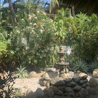 Garden at the back at Spirulina in Puerto Escondido