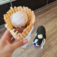 Macey also wanted some!🥰🤣 at Dolce Gelato in Laguna Beach