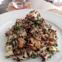 Quinoa tricolor at Sat Nam in Antigua