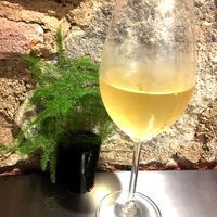 Tempranillo !!!! at Sat Nam in Antigua