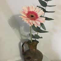 Ambiant at Sat Nam in Antigua