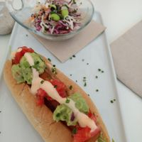 non dog at V-Thos in Javea