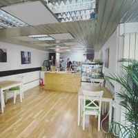 Deli style counter with lots of vegan options at Sara Green - Vegan Bistro in Bucharest