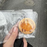   at Shokudo Pace in Kamakura