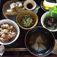 Vegan spring roll set at Shokudo Pace in Kamakura