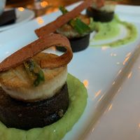 Scallops & black pudding  at Harmonium in Edinburgh