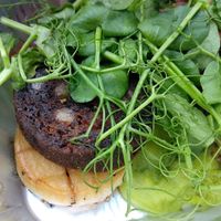 Mushroom scallops with black pudding sausage and mushy green peas (in takeout box). Still tasted perfect! at Harmonium in Edinburgh
