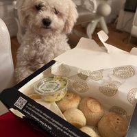 Vegan dough balls (delivery) at Pizza Express in Rochester