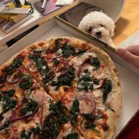 Vegan Padanna pizza  at Pizza Express in Rochester