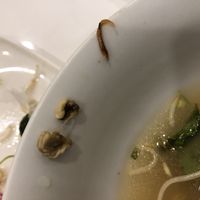 Cow in veg pho at Pho Bac Vietnamese in Makati