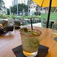   at Avocado Grill in West Palm Beach