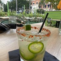   at Avocado Grill in West Palm Beach