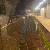 Home grown veg  at Terra Madre in Alberobello