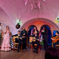 Flamenco Show at Tablao Flamenco Cordobes in Barcelona