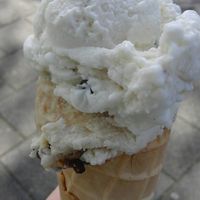 chocomint and coffee vegan icecream at JuiceBrothers - Haarlemmerplein in Amsterdam