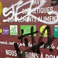 Adesivos e pixação na entrada at Naturalia Vegan - Merlin in Paris