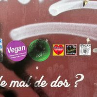 mais adesivos e pixação na entrada at Naturalia Vegan - Merlin in Paris