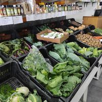 Fresh veggies at Biorigem in Porto