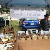 mushrooms at Thursday Farmers Market in Boothbay