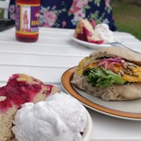 A red currant cake and vanilla Ice cream and a sourdough sandwich! at Cafe Nyfiket in Raettvik