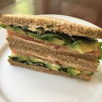 avocado sandwich  at Cocobeet in Wellesley