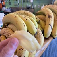Fresh jackfruit - Thanks Mike!  at Loko Wraps in Kailua Kona