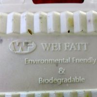 Environment Friends take wat package at Vegan Spark in Paramaribo