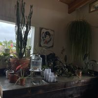   at Jet Black Coffee Company - Gateway in Portland