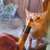 Vegan sausage to go at Food Fight Vegan Grocery - Halsey St in Portland