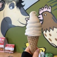 Vanilla soft serve   at Food Fight Vegan Grocery - Halsey St in Portland