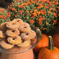 Pumpkin Donuts (Seasonal) at Woodstock Garden Cafe in Woodstock