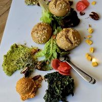 Vegan plate at Gember in Horst