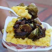  at Sprouting Dreams in Dayton