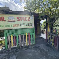   at Dr Spice Vegetarian  in Kingston