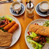 Kroketjes with organic breadslices and salade at Logica Cafe Restaurant in Leiden