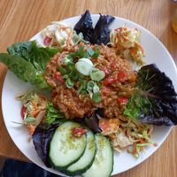  at Logica Cafe Restaurant in Leiden