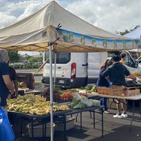 Bananas at Farmer's Market in Lihue