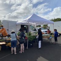 Lots of greens! at Farmer's Market in Lihue